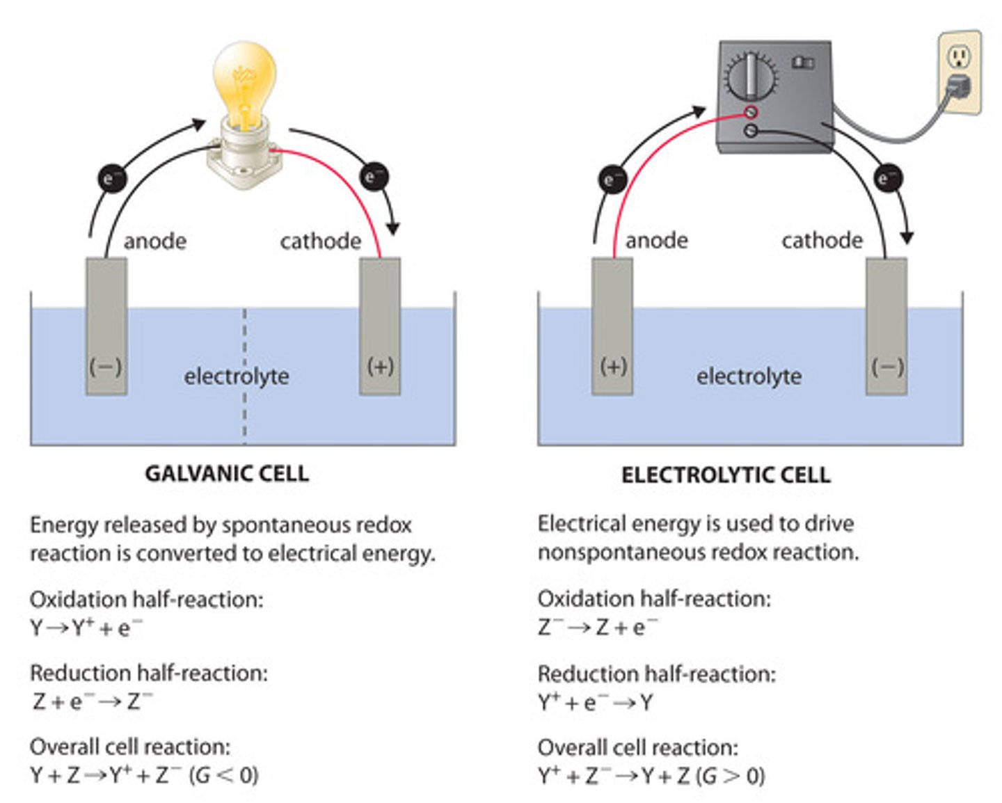 <p>(D) negatively, positively</p><p>The anode is negatively charged in a Galvanic Cell. The anode is positively charged in an Electrolytic cell.</p>
