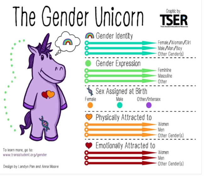 <ul><li><p>Gender identity</p></li><li><p>Gender expression</p></li><li><p>Sex assigned at birth</p></li><li><p>Physically attracted to</p></li><li><p>Emotionally attracted to </p></li></ul><p></p>