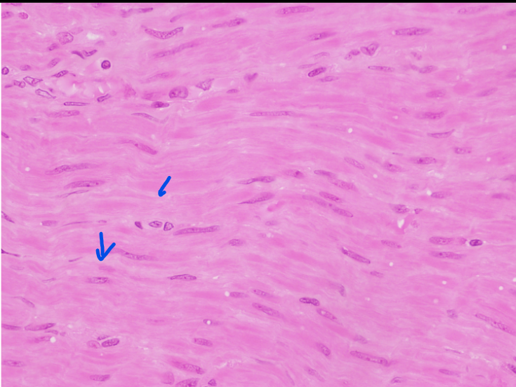 <p>What is this?</p>