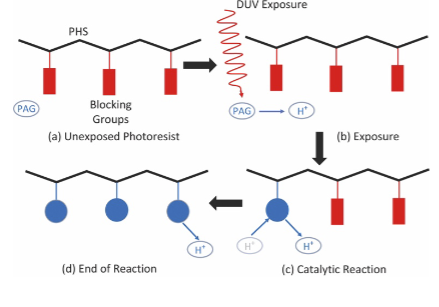 <p>What is the correct description for how a Chemically Amplified Resist system works? </p>