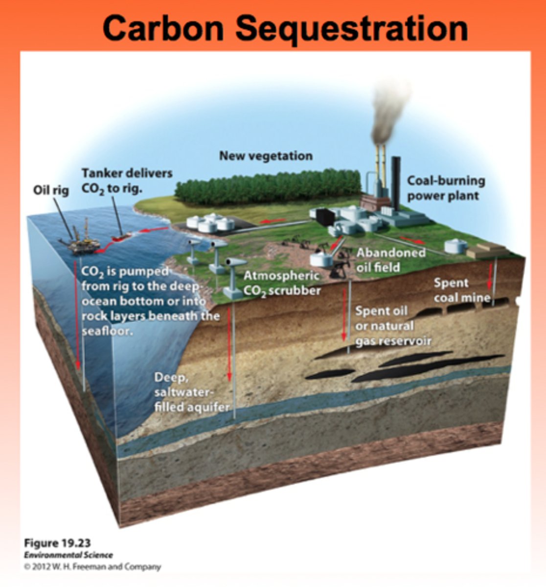 <p>atmospheric CO2 levels have varied a great deal in the past</p>