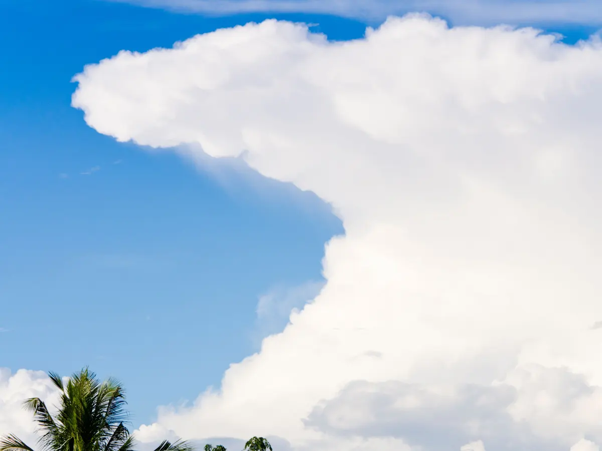 <p>Cumulonimbus</p>