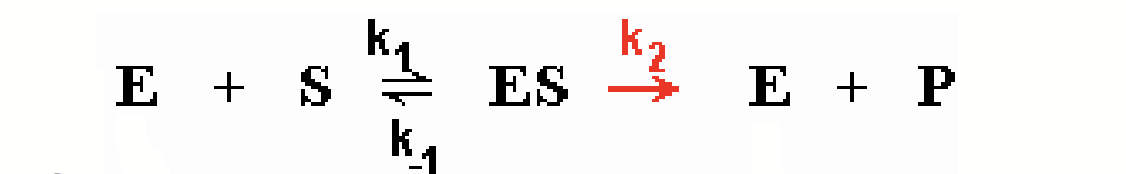 <p>The rate that a singular molecule is working; how fast a single enzyme molecule can work. The true constant!</p>