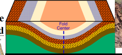 <p>A syncline is a fold where the rock layers are warped downward.</p>