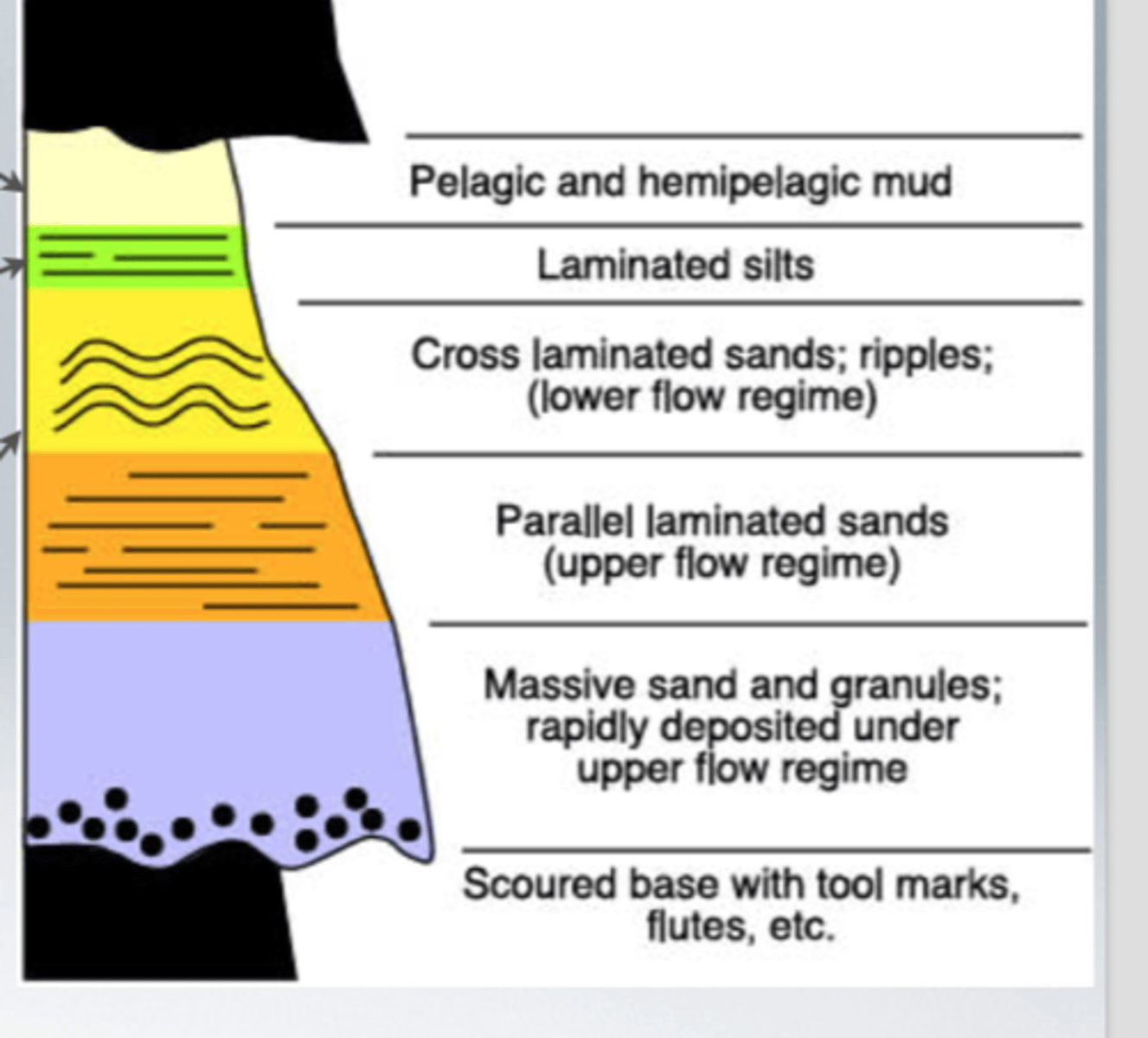 <p>describes a classic set of sedimentary structures in turbidite beds deposited by turbidity currents at the bottoms of lakes, oceans and rivers</p>