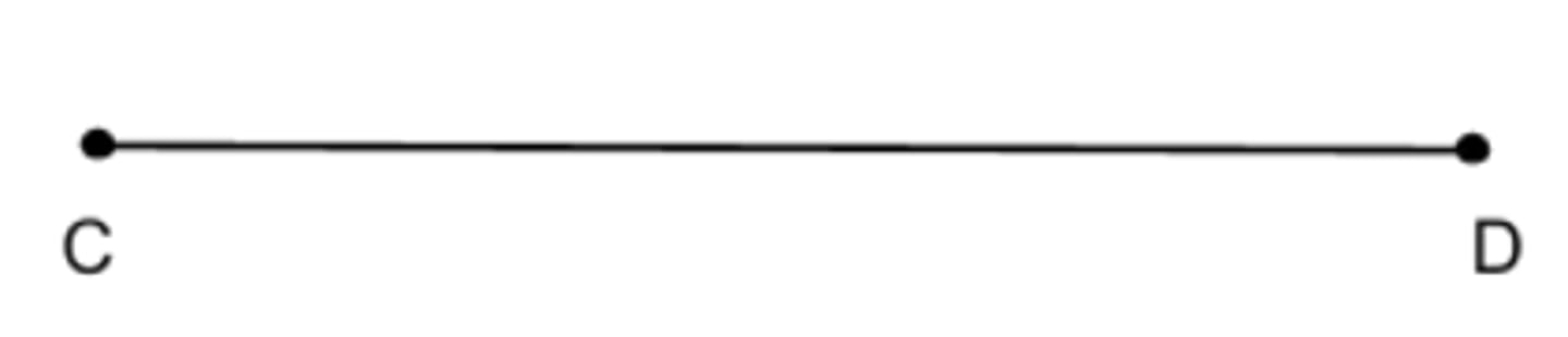 <p>just the part of the line between C and D; does not continue past either point</p>