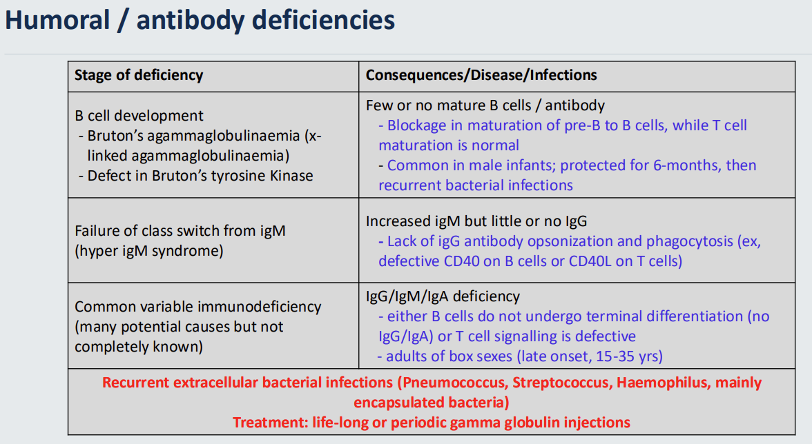 <p>Recurrent <strong>extracellular bacterial infections</strong> (Pneumococcus, Streptococcus, Haemophilus, mainly encapsulated bacteria) <strong><mark data-color="#cee9ff" style="background-color: rgb(206, 233, 255); color: inherit;">Treatment:</mark></strong><mark data-color="#cee9ff" style="background-color: rgb(206, 233, 255); color: inherit;"> life-long or periodic gamma globulin injections</mark></p>