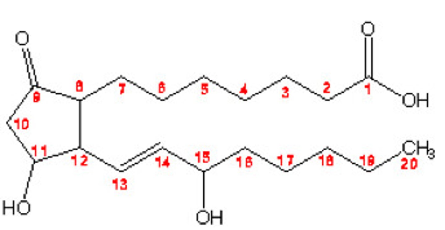 <p>local signaling molecules aiding various body systems</p>