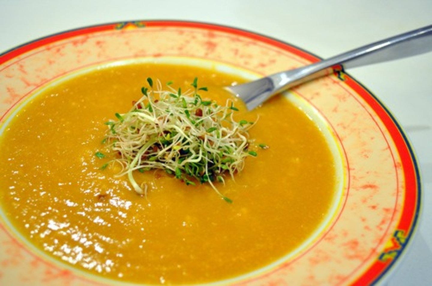 <p>a soup</p>