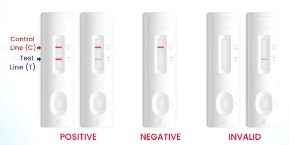<ul><li><p class="mb-4"><strong>Positive test</strong>: test line + control line</p></li><li><p class="mb-4"><strong>Negative test</strong>: only control line</p></li><li><p class="mb-4"><strong>Invalid test</strong>: No control line appears (test malfunction)</p></li></ul><p>[tip: a working test must show control line]</p>