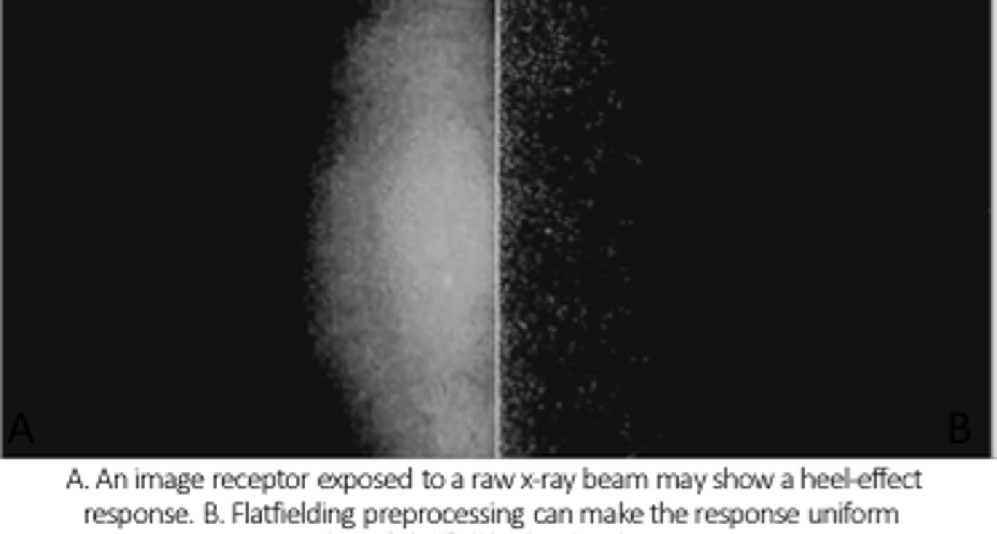 <p>dead pixels are removed from the matrix by making a mask of the dead pixels</p>