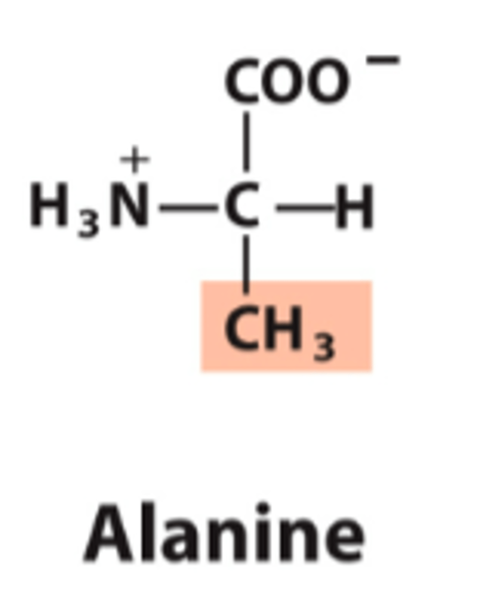 <p>What is the classification of this amino acid's R group?</p>