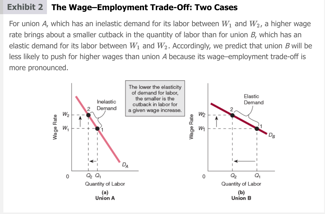 <p><span>suggests that a union can get higher wage rates, but some of the union members will lose their jobs in the process</span></p><p>more elasticity in demand for labor = large cutback in Qd of labor for rise in wage rate</p><p>smaller cutback in labor for wage increase is better for labor unions</p>