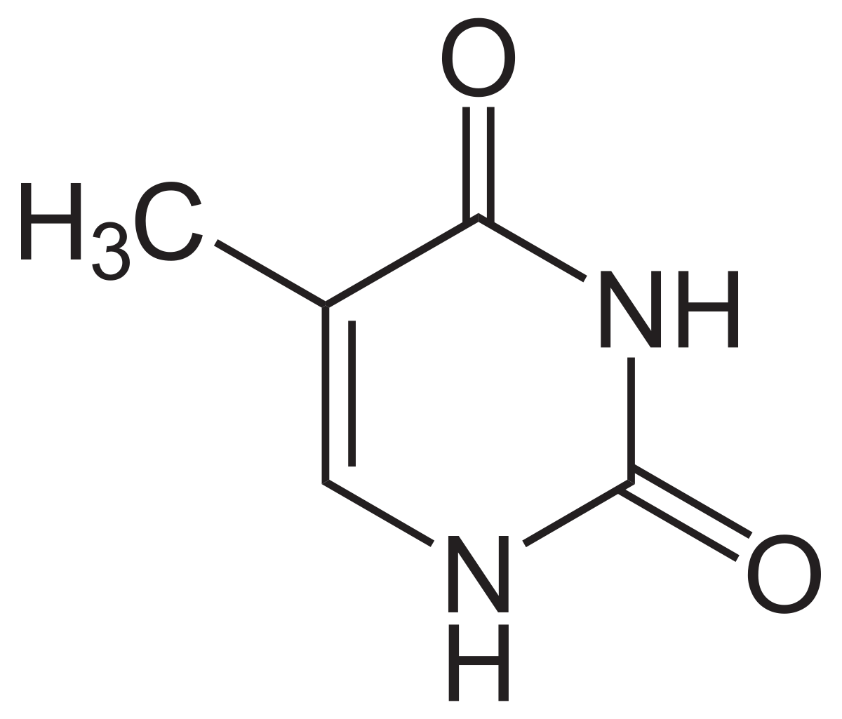 <p>What Nucleotide Base is this?</p>