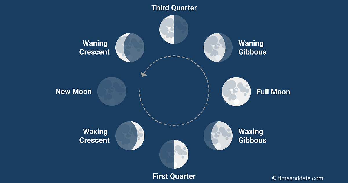 <p>New moon, waxing crescent, first quarter, waxing gibbous, full moon, waning gibbous, third quarter, waning crescent</p>