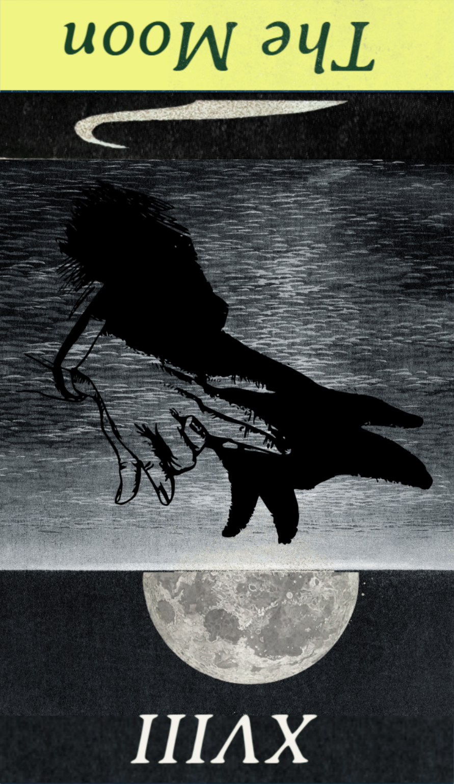 <p>The Moon Reversal</p>