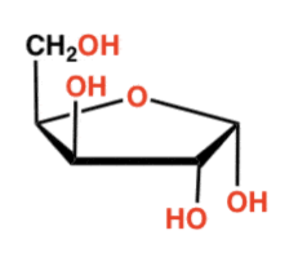 <p>what is this cyclic structures name? </p>
