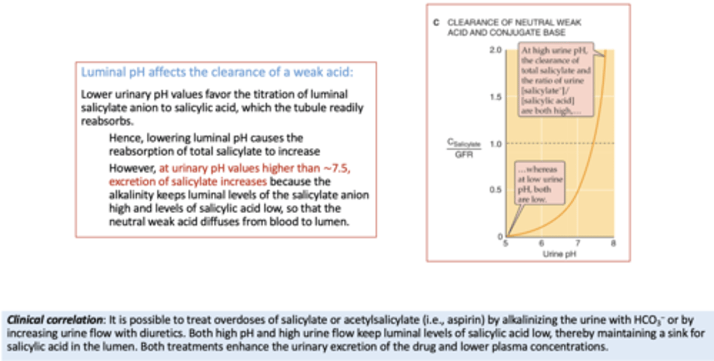 <p>- Alkalinizing the urine with HCO3−</p><p>- Diuretics</p>