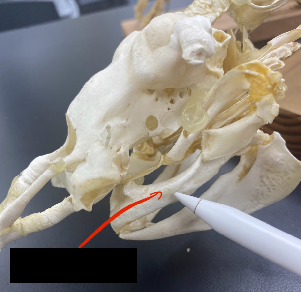 <p>What part is this</p>