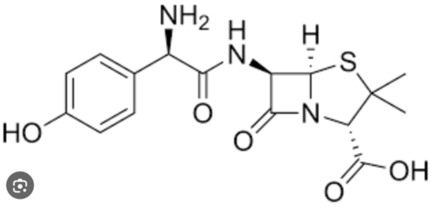 <p>Beta-lactam fused to 5-sided ring</p>