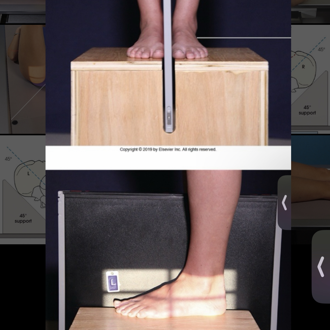 <p>What Projection is this?</p>