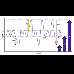 <p>Co to za pojemność płuc ssaka?</p>