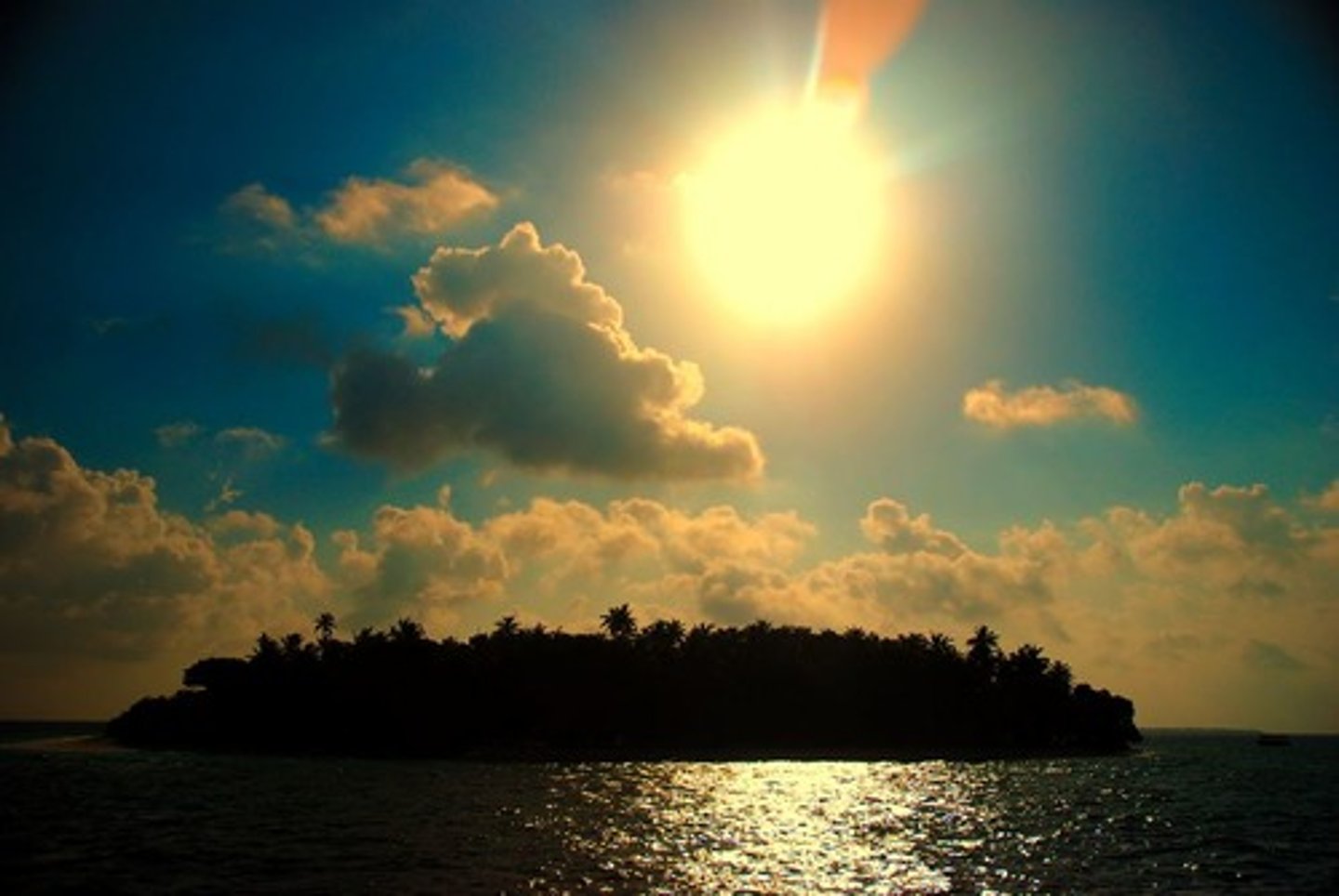 <p>shone, shone</p>