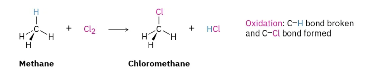 <p>Decrease in C-H bonds, increase in C-O bonds (or equivalent)</p>
