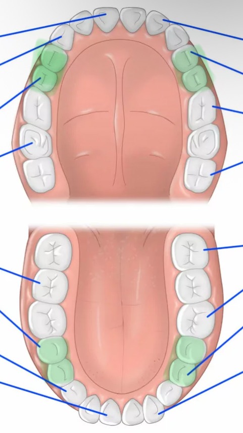 knowt flashcard image
