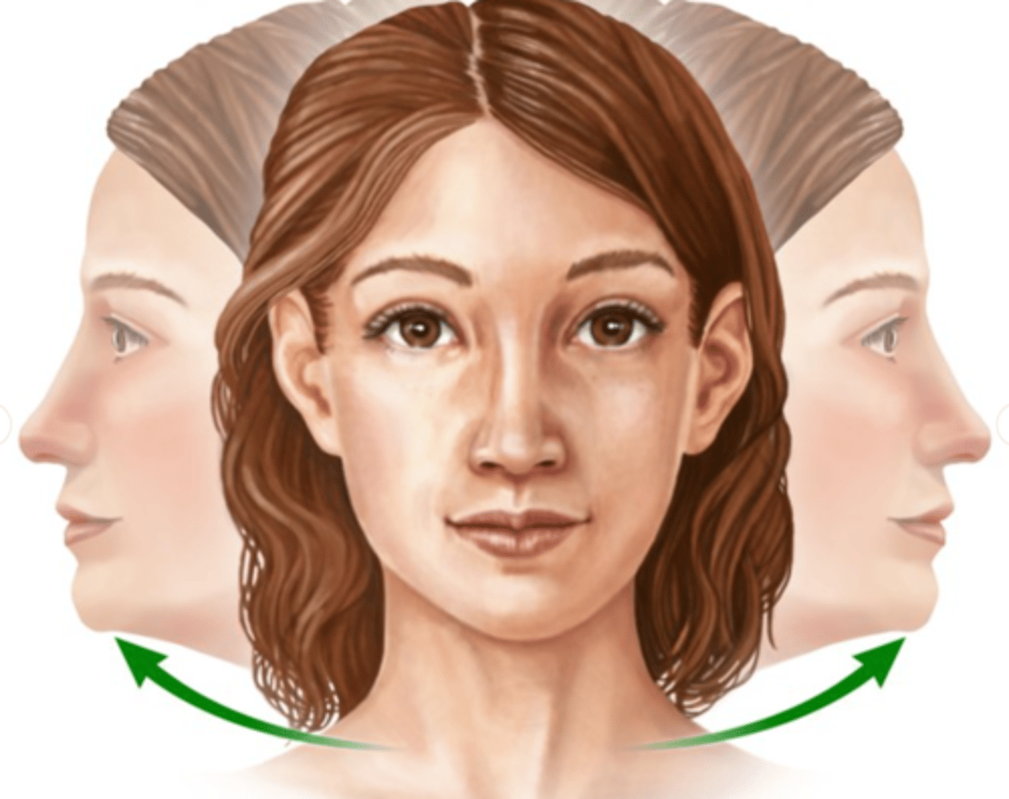 <p>horizontalinėje plokštumoje apie vertikalinę ašį</p>