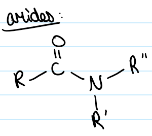 <p>contain a nitrogen adjacent to a carbonyl bond</p>