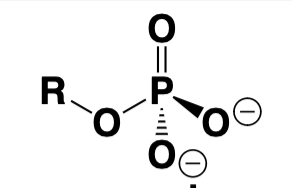<p>What is the correct acronym?</p>