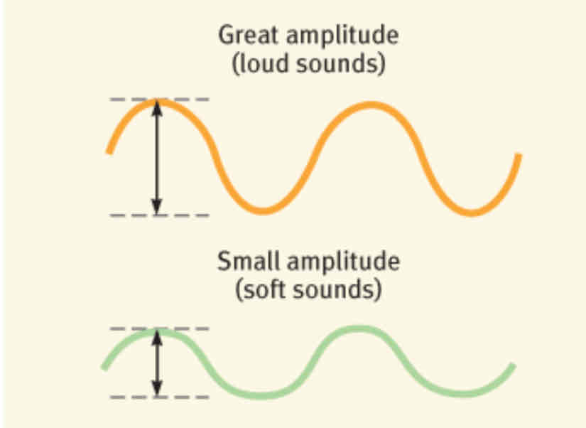 <p><mark data-color="blue">Soundwave</mark> Amplitude </p>