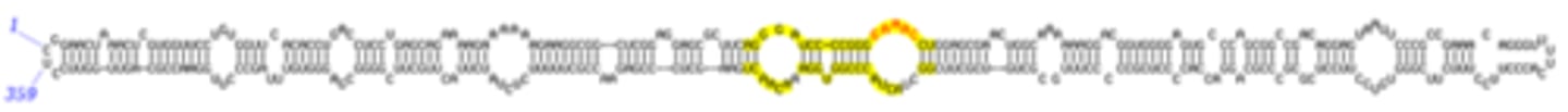 <p>viroids</p><p>(Note: even smaller</p><p>than viruses)</p>