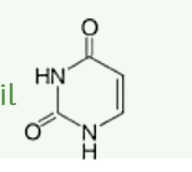 <p>Wat is uracil?</p>