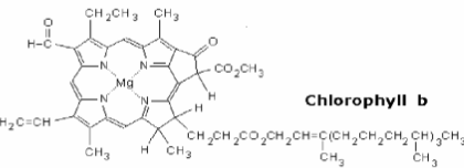 <p>Blue and yellow</p><ul><li><p>H-C=O</p></li></ul><p></p>