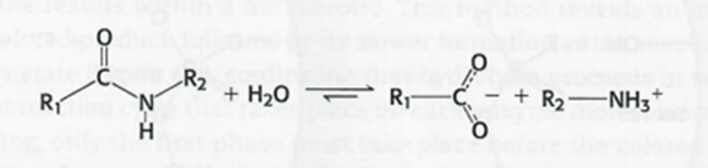 <p>Een protease, het verlaagt de activeringsenergie voor de hydrolyse/klieving van peptide binding (zie foto)</p><p>->thermodynimisch gunstig maar zeer traag door de partieel dubbel bindingskarakter</p><p>->activeringsenergie moet verlaagd worden</p>