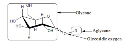 <p>Sugars with Hydroxyl groups + Glycosidic Bonds + Aglycone </p>