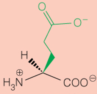 <p>3 Letter</p>