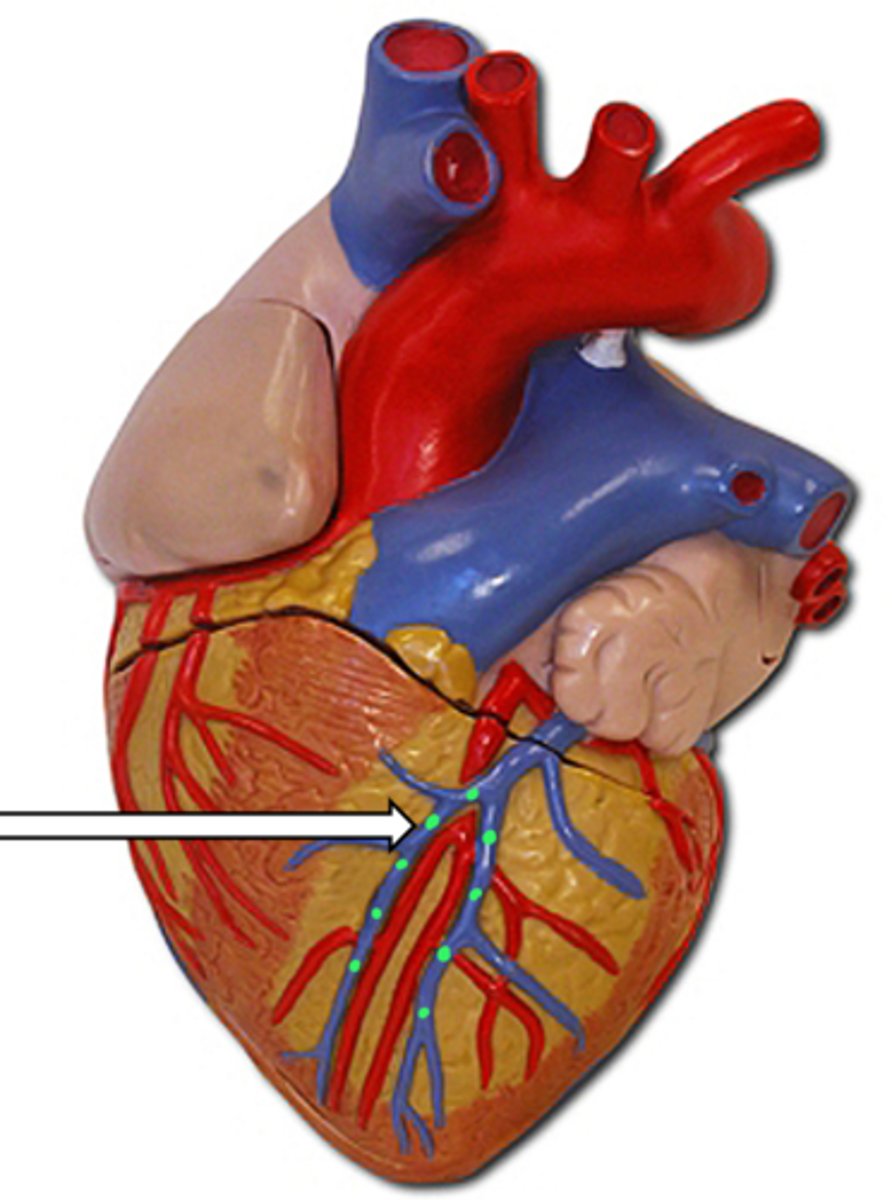 <p>name the structure</p>