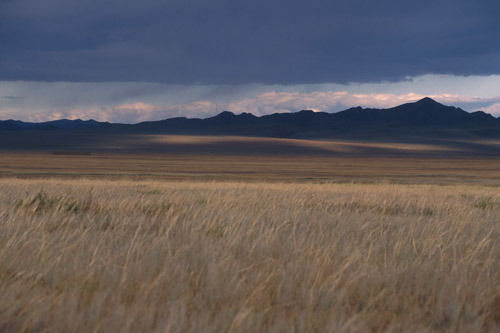 Treeless plains, especially the high, flat expanses of northern Eurasia, which usually have little rain and are covered with coarse grass. They are good lands for nomads and their herds. Good for breeding horses: essential to Mongol military.