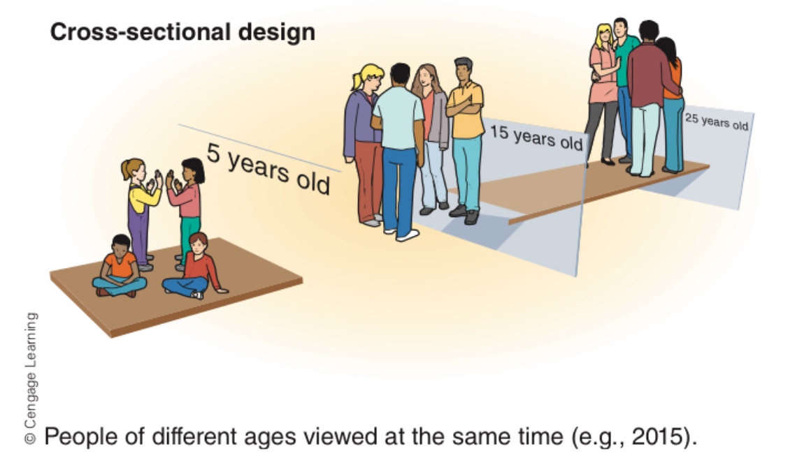 <p>take sections of a population across different ages and compare them on some characteristics </p>