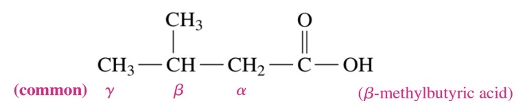 \-prefix for carbon is ic acid 

\-substituted carboxylic acids, the carbon next to COOH is called a and followed by B, y, and delta
