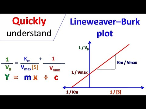 <p>y int is V<sub>max<sup> </sup></sub><sup>-1 </sup> and x int is K<sub>m</sub><sup>-1</sup></p>