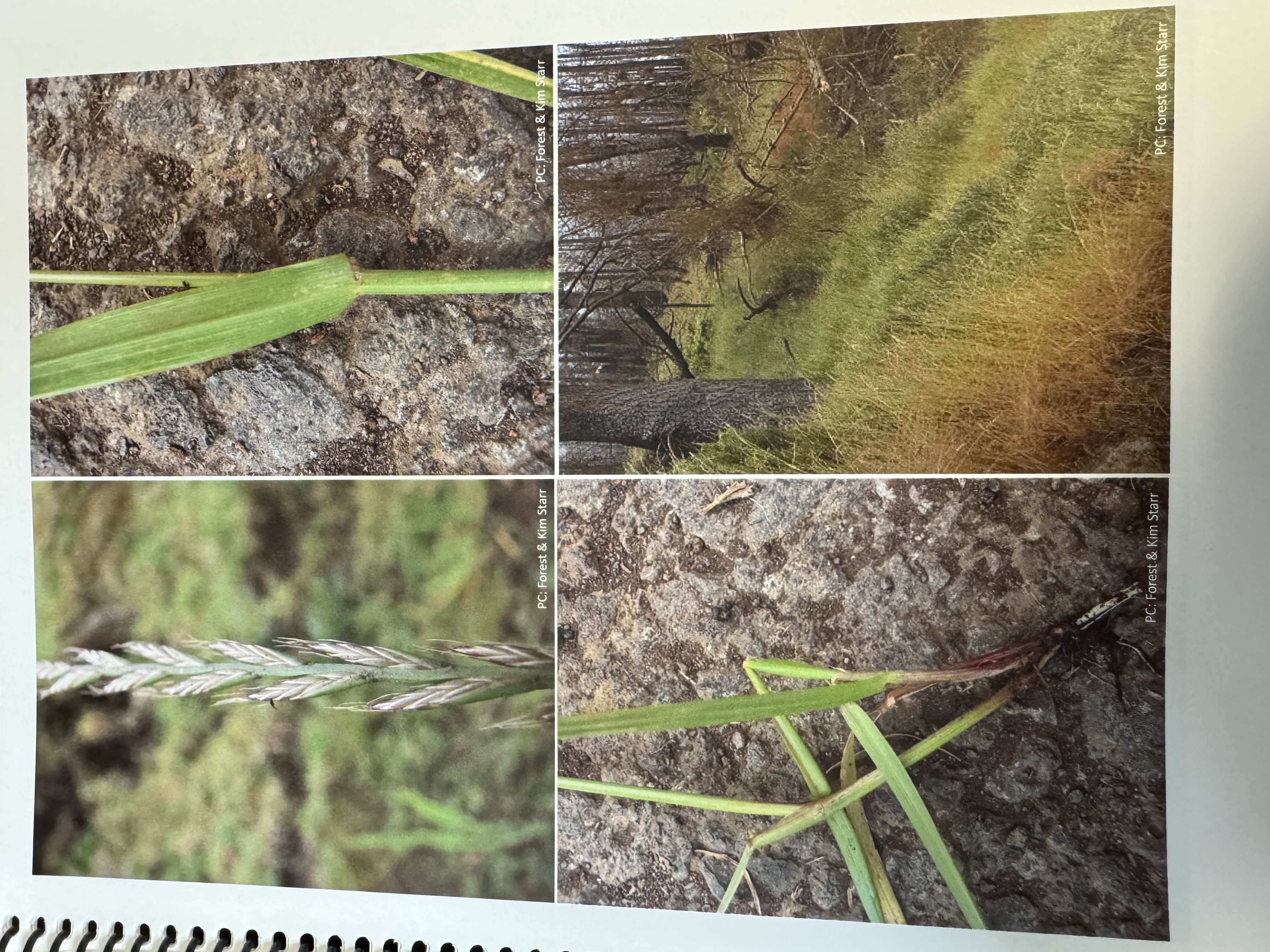 <img src="blob:null/d434fed4-9ad2-48b2-8c34-b45bec20919c"><p></p>