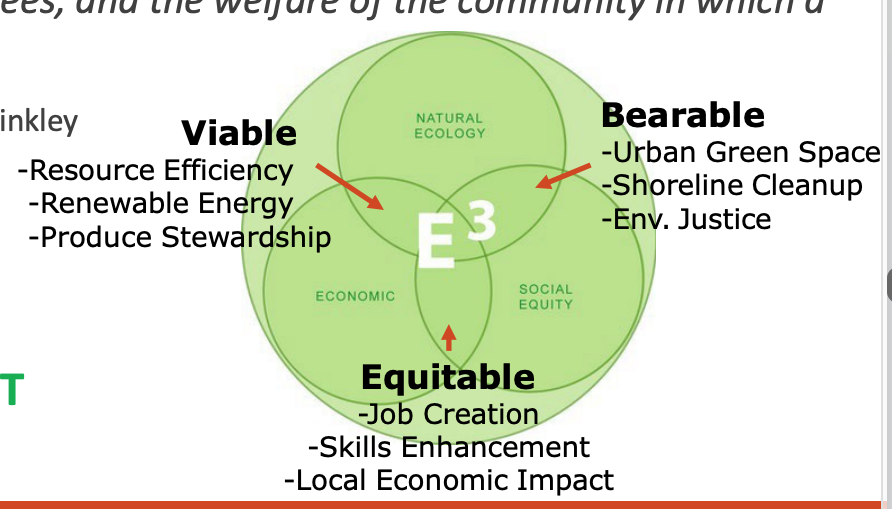 <ul><li><p>“The duty of directors shall be to make money for shareholders but not at the expense of the environment, human rights, public health/ safety, dignity of employees, and the welfare of the community in which a company operates - Corporate attorney Robert Hinkley </p></li><li><p>3 categories: ecology/env, society/people, economy/profit </p></li></ul>