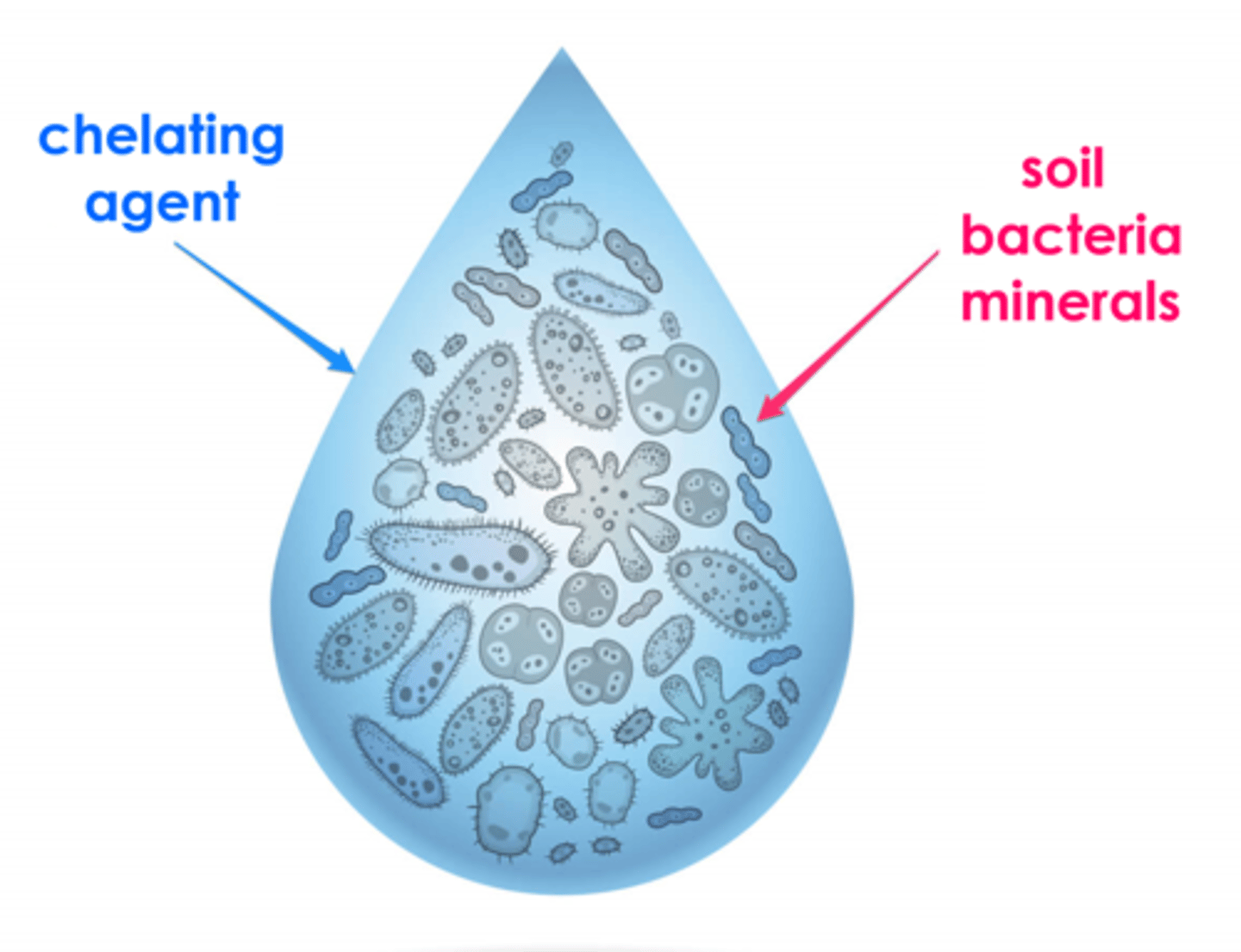<p>chemicals that hold hard water minerals in solution & prevent soap/ detergent from reacting with the minerals</p>