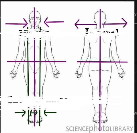 <p><span>a position or structure that is located between two other structures</span></p>