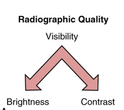 <p>Understand Visibility </p>