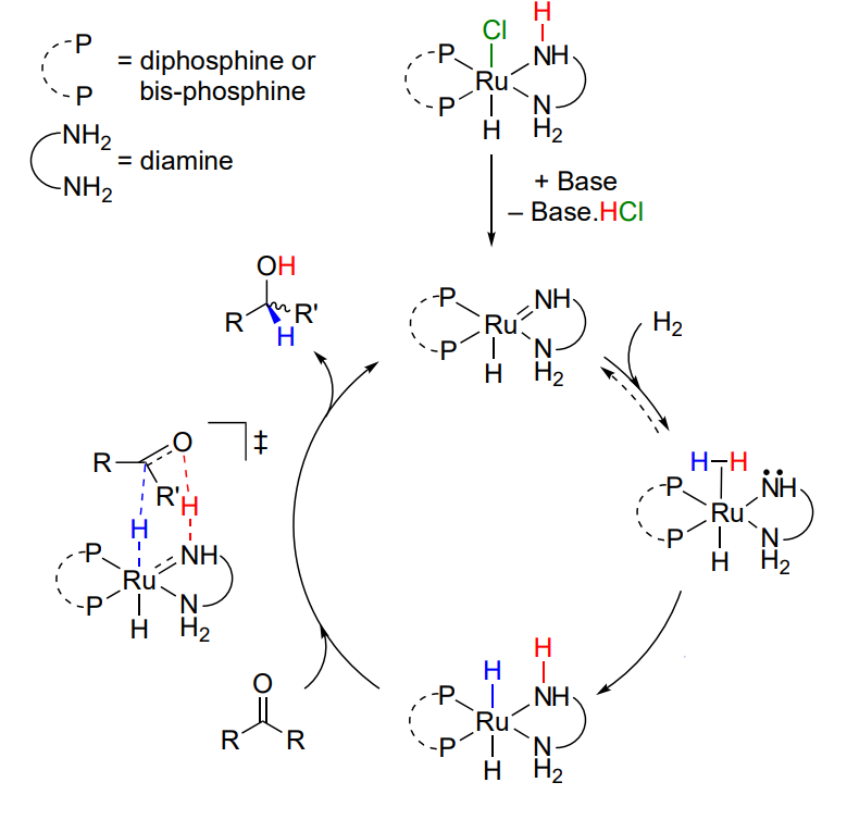 <p>Explain the outer sphere hydrogenation - bifunctional mechanism </p>